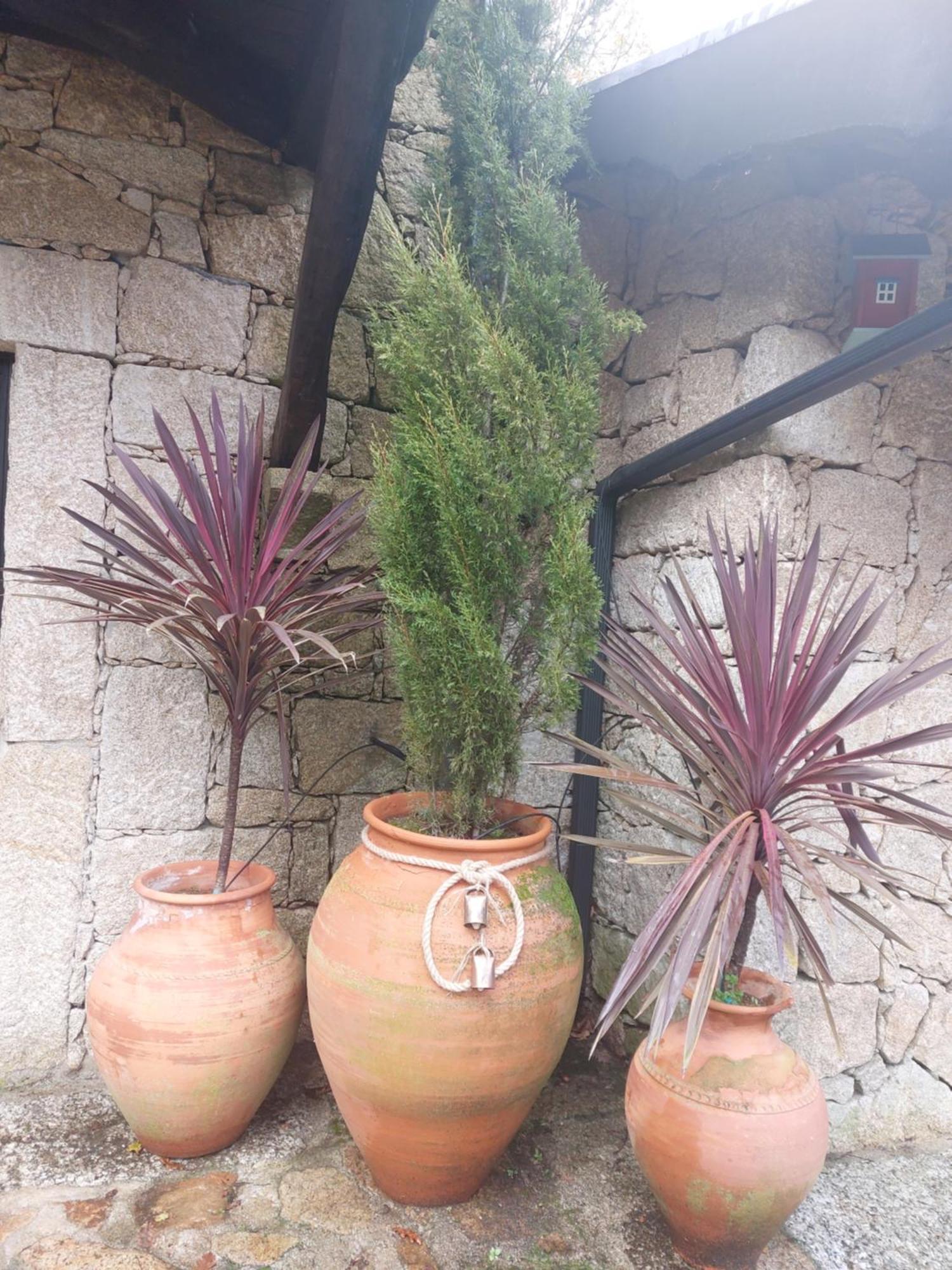 Quinta Do Caneiro Geres Bagian luar foto